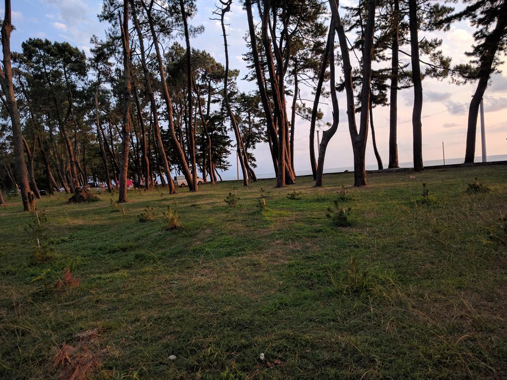 Kobuleti Pines Resort 外观 照片